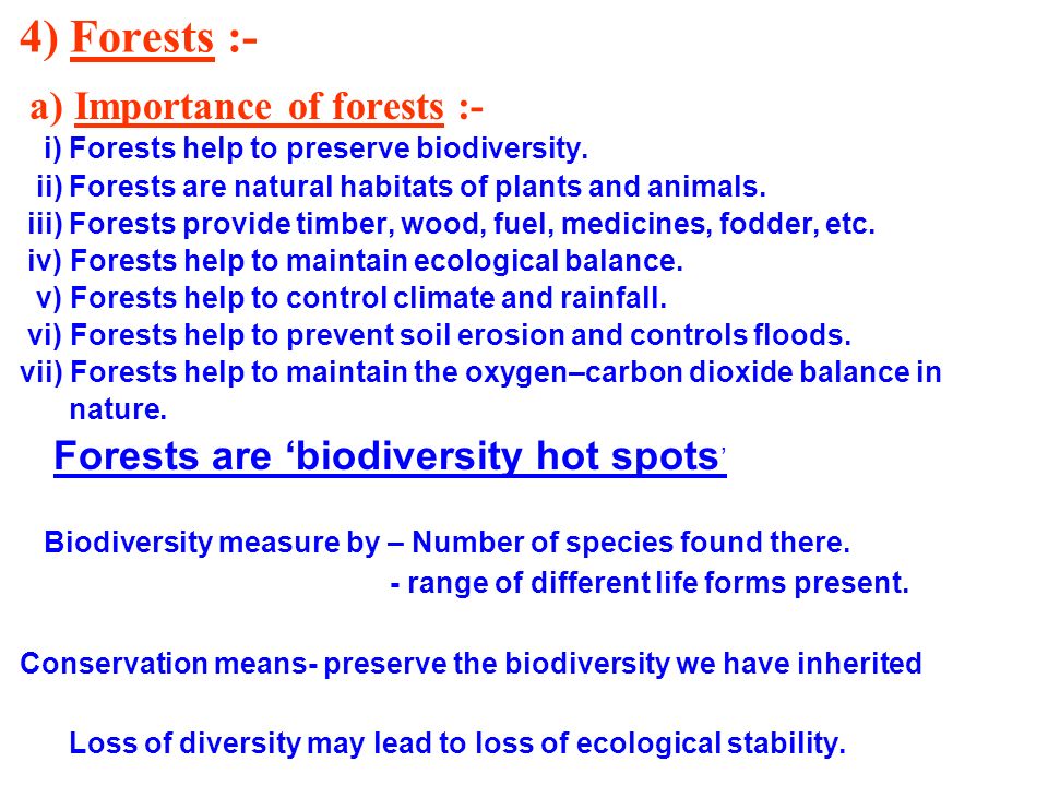 Importance of forest conservation